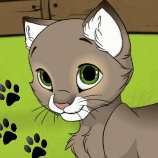  بازی آنلاین  Kitten Maker
